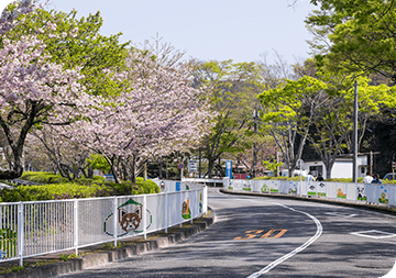 静岡市立日本平動物園