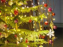 クリスマスツリーを設置しました