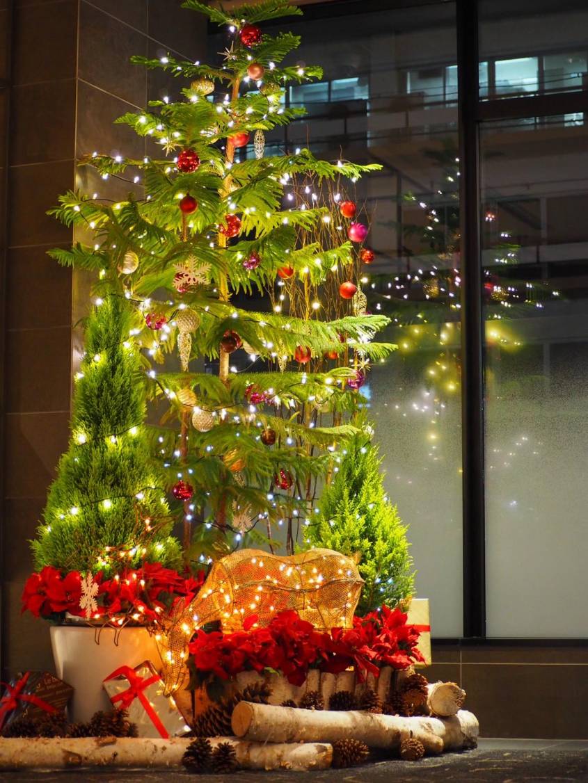 クリスマスツリーを設置しました