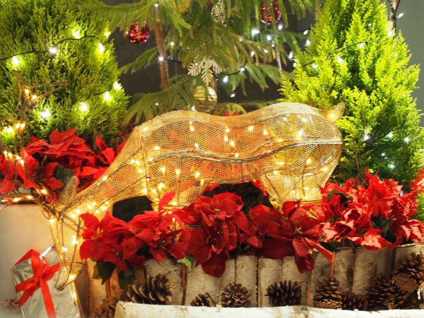 クリスマスツリーを設置しました