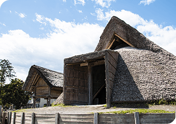 Toro Archaeological Site