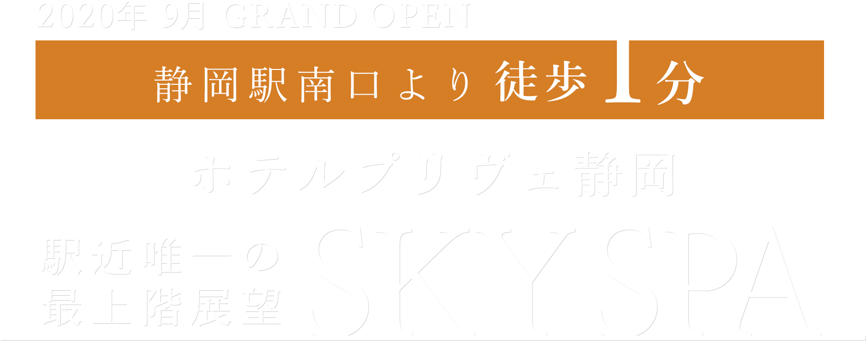 静岡駅から徒歩1分 ホテルプリヴェ静岡 公式